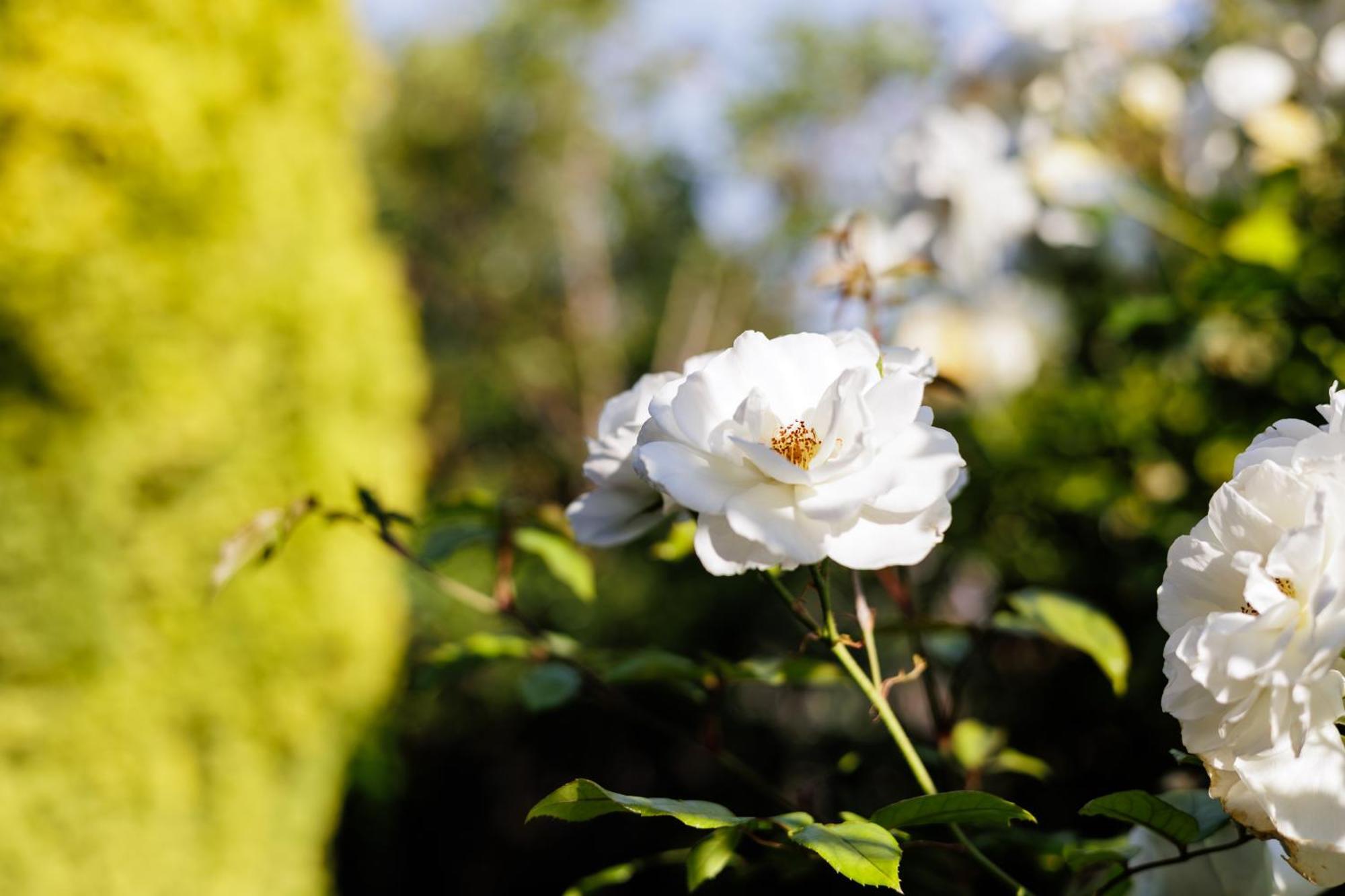 Wollaston House By The Bnb Collection アルバニー エクステリア 写真